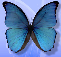 Κυριακάτικα Εκπαιδευτικά Προγράμματα Μαΐου Κυριακάτικα Εκπαιδευτικά Προγράμματα Μαΐου