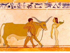 Ο κήπος των θεών Ο κήπος των θεών