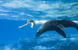 Ταξίδι στο Νησί της Φαντασίας Ταξίδι στο Νησί της Φαντασίας
