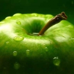 Αντιμετωπίστε την τοξική επίθεση των τροφίμων