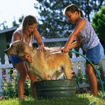  Πιο δραστήρια τα παιδιά με σκύλο 